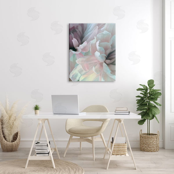 Stupell Industries David Pollard | Blush Flower Petals Meeting Alluring Pink Florals Wall Art