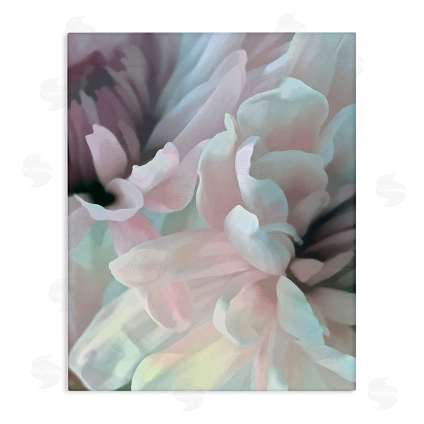 stupell industries David Pollard | Blush Flower Petals Meeting Alluring Pink Florals Wall Art