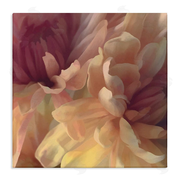stupell industries David Pollard | Curling Dahlia Petals