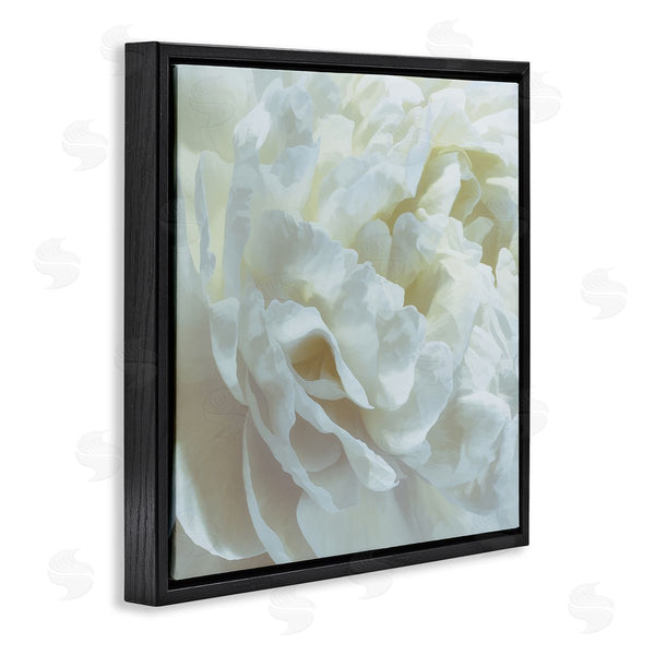 Stupell Industries David Pollard | Elegant White Petals
