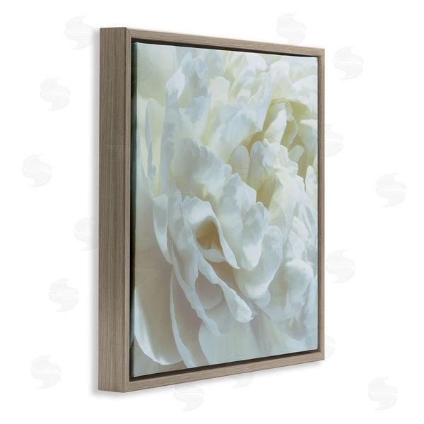 Stupell Industries David Pollard | Elegant White Petals