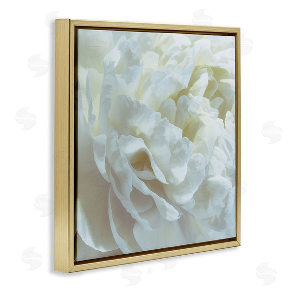 Stupell Industries David Pollard | Elegant White Petals