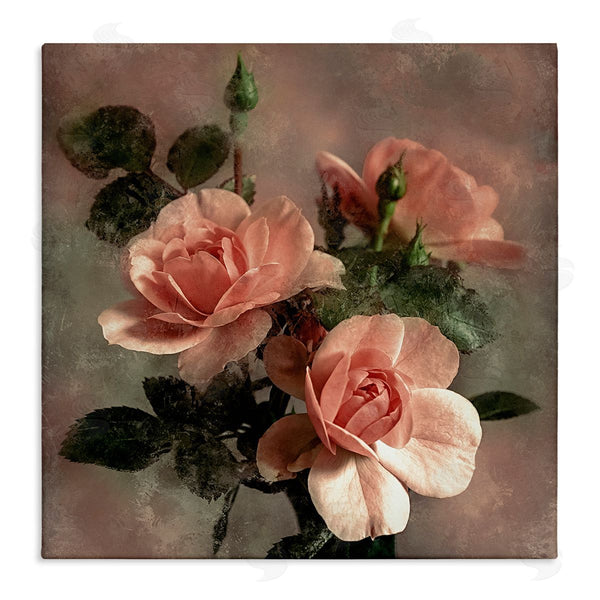 stupell industries David Pollard | Vintage Blush Petals Wall Art