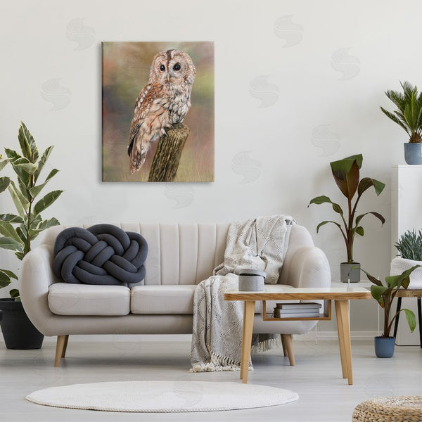 Stupell Industries David Stribbling | Brown Tawny Owl Perched Intricate Woodland Wildlife Painting Wall Art