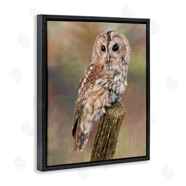 Stupell Industries David Stribbling | Brown Tawny Owl Perched Intricate Woodland Wildlife Painting Wall Art