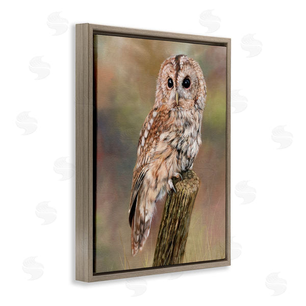 Stupell Industries David Stribbling | Brown Tawny Owl Perched Intricate Woodland Wildlife Painting Wall Art