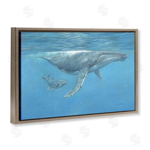 Stupell Industries David Stribbling | Humpback Whale Underwater