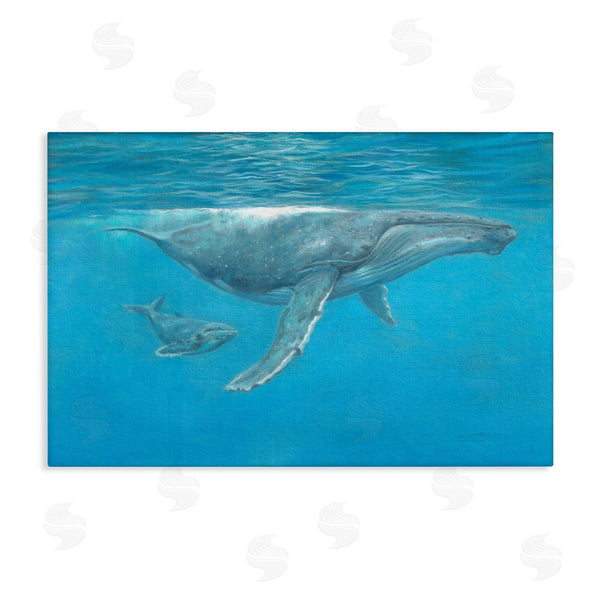 stupell industries David Stribbling | Humpback Whale Underwater
