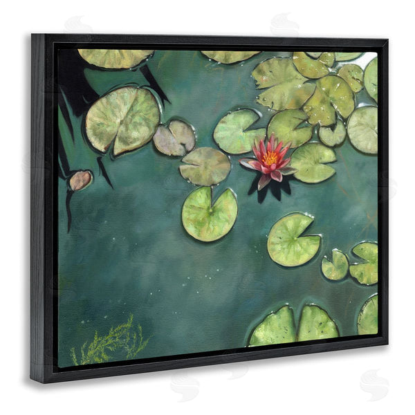 Stupell Industries David Stribbling | Pond Lily Lotus Blossom Floating Peaceful Botanicals Wall Art
