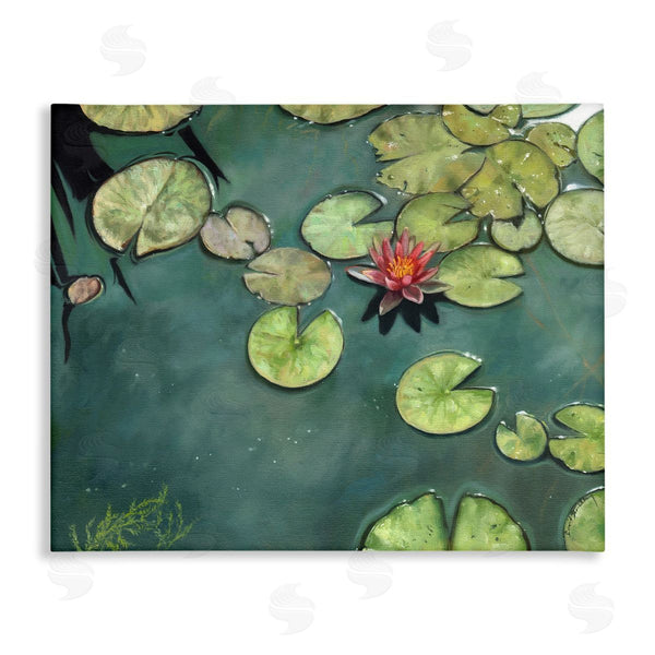 stupell industries David Stribbling | Pond Lily Lotus Blossom Floating Peaceful Botanicals Wall Art
