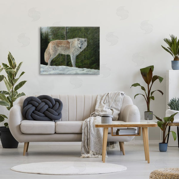 Stupell Industries David Stribbling | Wild Coyote Wolf Gazing Snowy Forest Clearing Wall Art