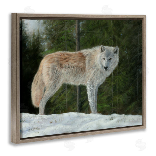 Stupell Industries David Stribbling | Wild Coyote Wolf Gazing Snowy Forest Clearing Wall Art