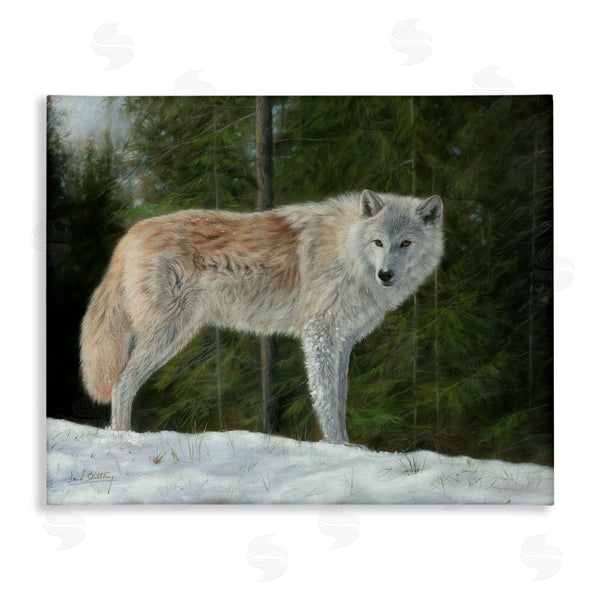 stupell industries David Stribbling | Wild Coyote Wolf Gazing Snowy Forest Clearing Wall Art