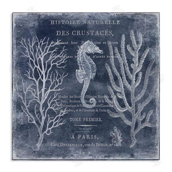 stupell industries Deborah Devellier | Vintage European Seahorse