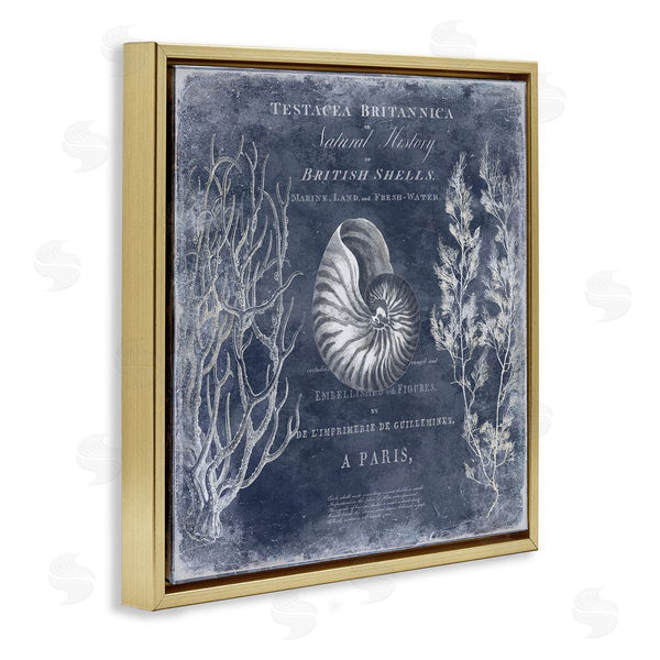 Stupell Industries Deborah Devellier | Vintage European Shells