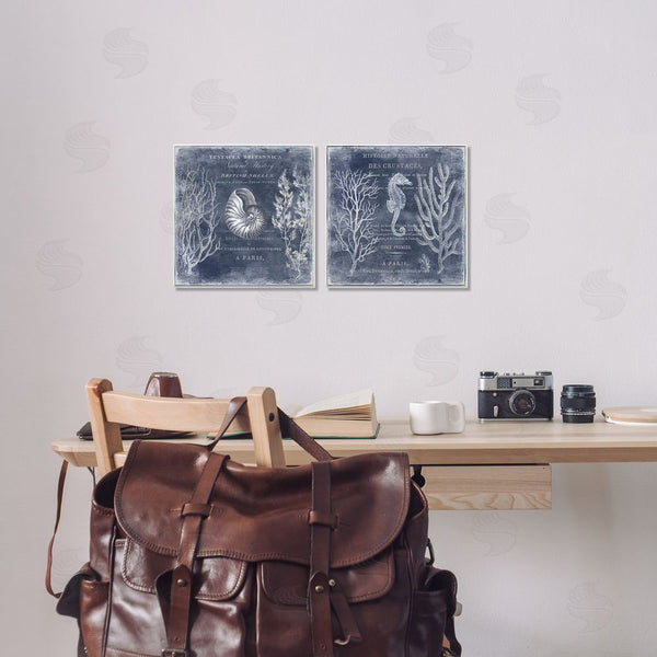 Stupell Industries Deborah Devellier | Vintage European Shells & Seahorse Wall Art