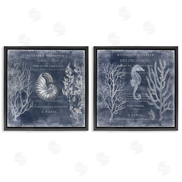 Stupell Industries Deborah Devellier | Vintage European Shells & Seahorse Wall Art