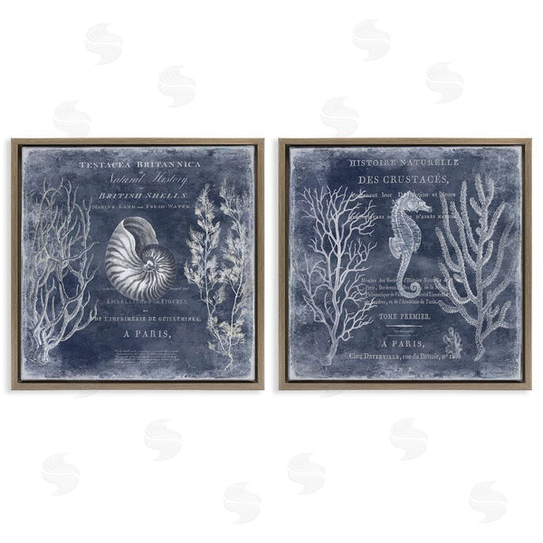 Stupell Industries Deborah Devellier | Vintage European Shells & Seahorse Wall Art