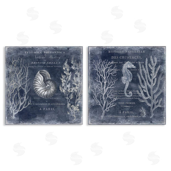 stupell industries Deborah Devellier | Vintage European Shells & Seahorse Wall Art