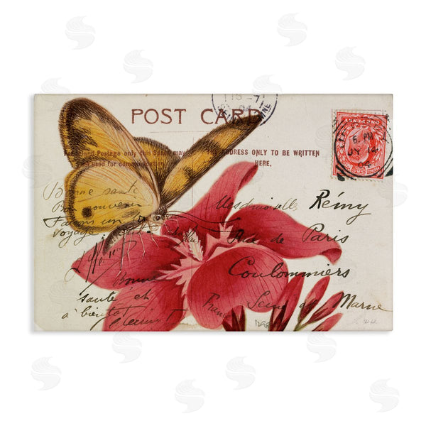 stupell industries Deborah Revell | Antique Postcard & Butterfly Wall Art