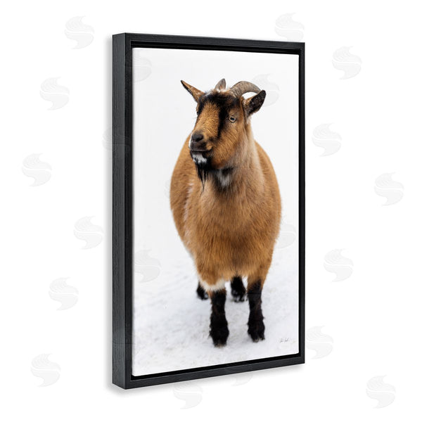 Stupell Industries Deborah Revell | Brown Little Goat