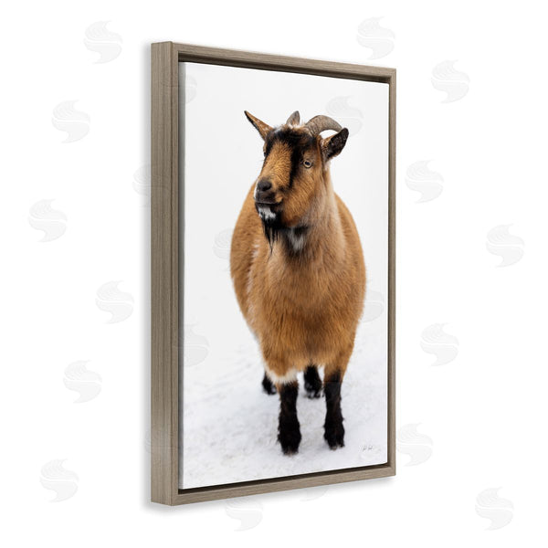 Stupell Industries Deborah Revell | Brown Little Goat