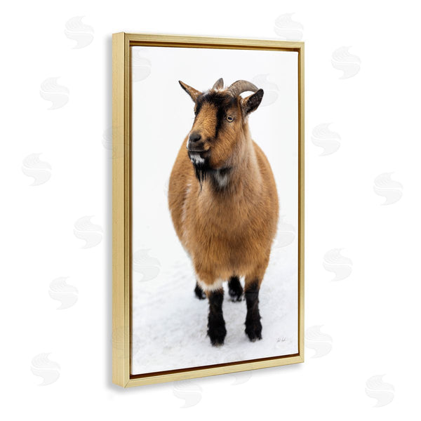 Stupell Industries Deborah Revell | Brown Little Goat