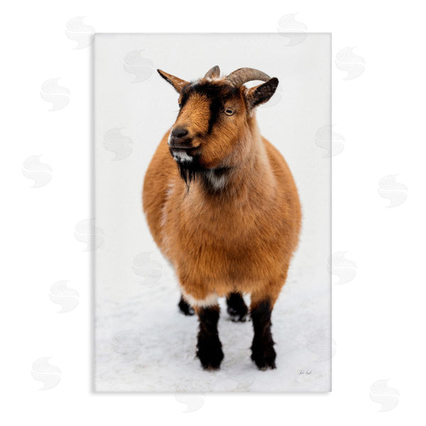 stupell industries Deborah Revell | Brown Little Goat