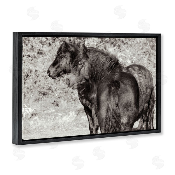 Stupell Industries Deborah Revell | Dartmoor Ponies Duo