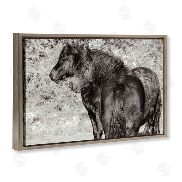 Stupell Industries Deborah Revell | Dartmoor Ponies Duo