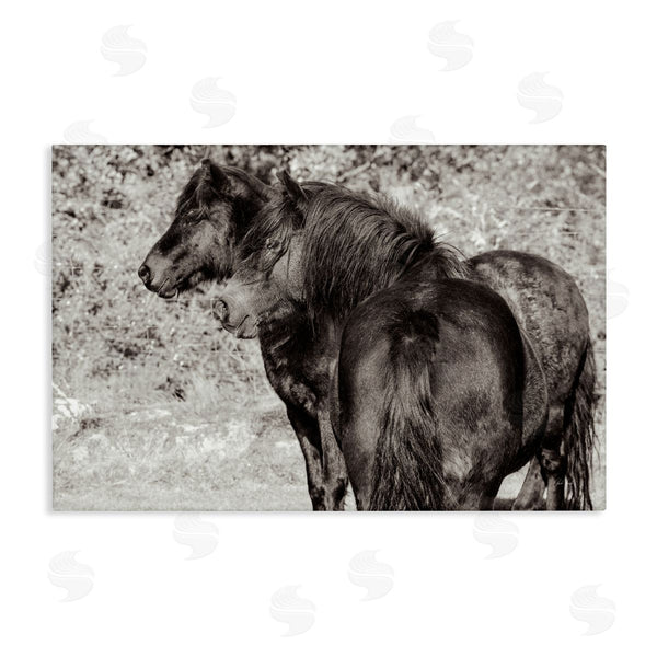 stupell industries Deborah Revell | Dartmoor Ponies Duo
