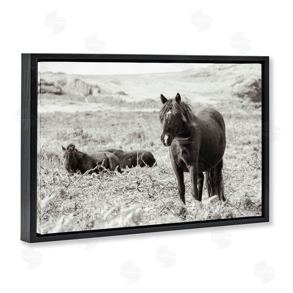 Stupell Industries Deborah Revell | Dartmoor Ponies Lounging