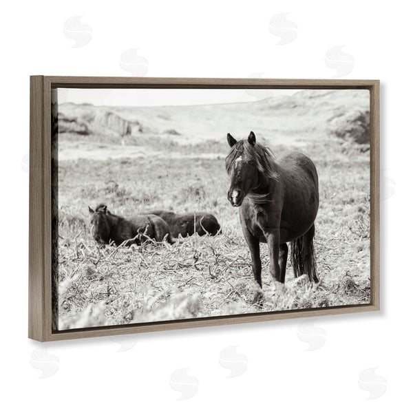 Stupell Industries Deborah Revell | Dartmoor Ponies Lounging
