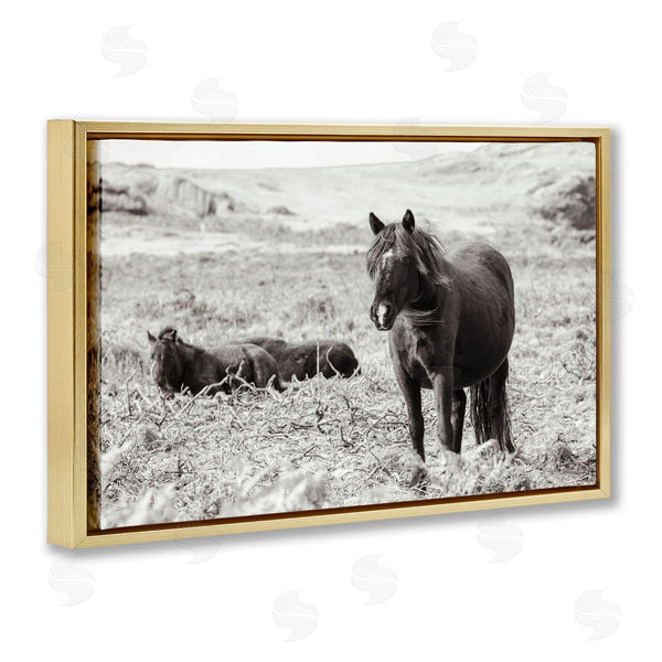 Stupell Industries Deborah Revell | Dartmoor Ponies Lounging