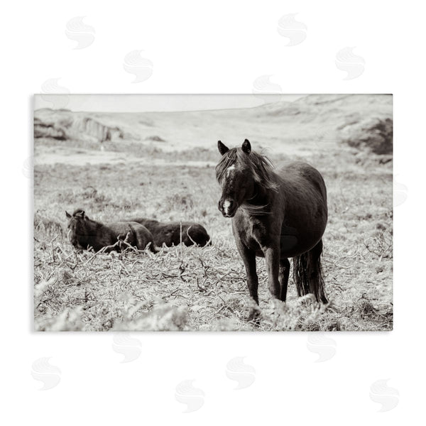 stupell industries Deborah Revell | Dartmoor Ponies Lounging