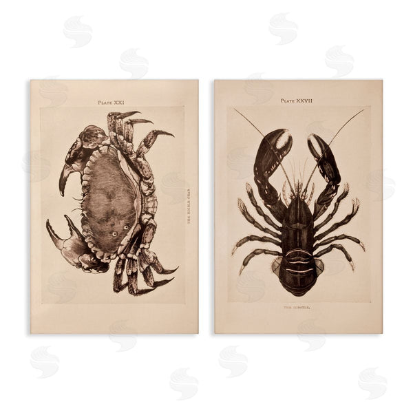 stupell industries Deborah Revell | Vintage Crab & Lobster