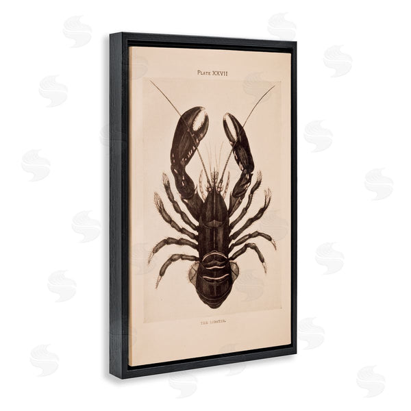 Stupell Industries Deborah Revell | Vintage Detail Lobster