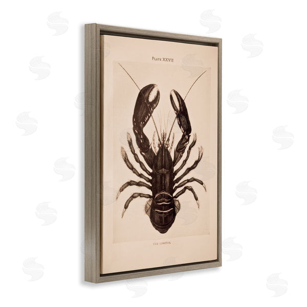 Stupell Industries Deborah Revell | Vintage Detail Lobster