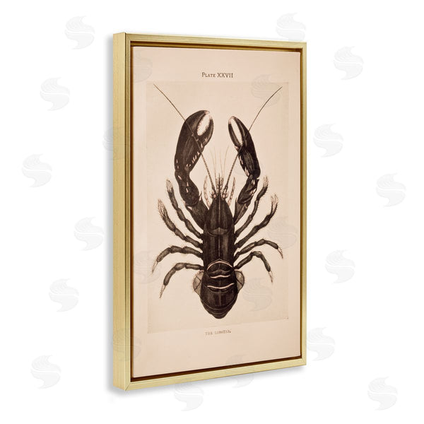 Stupell Industries Deborah Revell | Vintage Detail Lobster