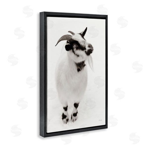 Stupell Industries Deborah Revell | White Little Goat