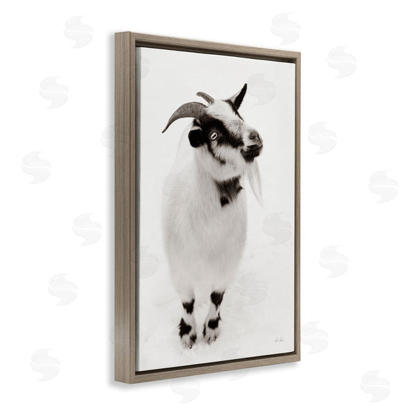 Stupell Industries Deborah Revell | White Little Goat