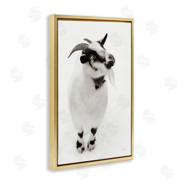 Stupell Industries Deborah Revell | White Little Goat