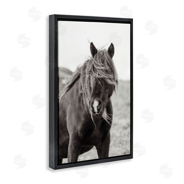 Stupell Industries Deborah Revell | Wild Pony With Windy Mane