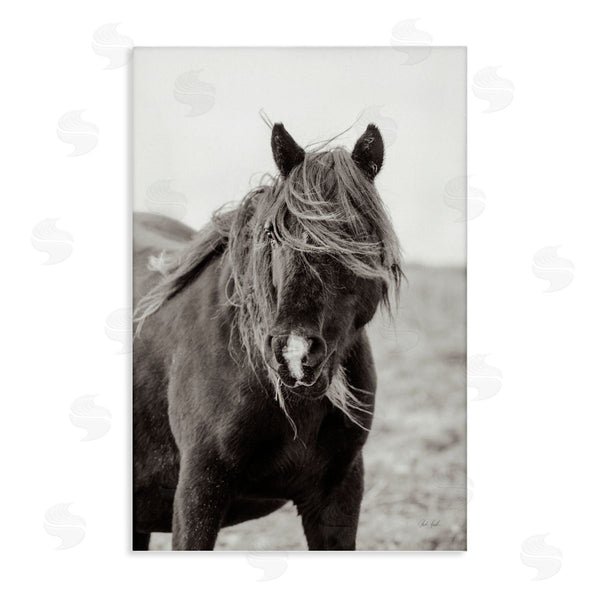 stupell industries Deborah Revell | Wild Pony with Windy Mane