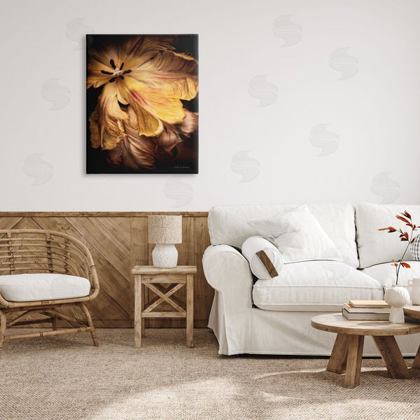 Stupell Industries Debra Van Swearingen | Modern Hibiscus Photography Wall Art