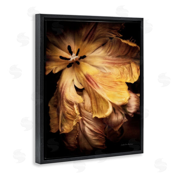 Stupell Industries Debra Van Swearingen | Modern Hibiscus Photography Wall Art