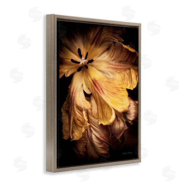 Stupell Industries Debra Van Swearingen | Modern Hibiscus Photography Wall Art