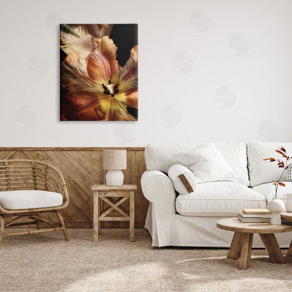 Stupell Industries Debra Van Swearingen | Tulip Petals Detail Wall Art