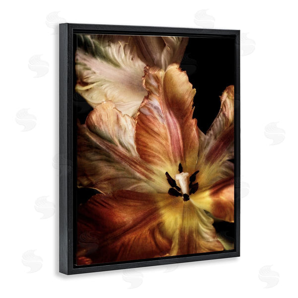 Stupell Industries Debra Van Swearingen | Tulip Petals Detail Wall Art