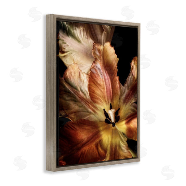 Stupell Industries Debra Van Swearingen | Tulip Petals Detail Wall Art